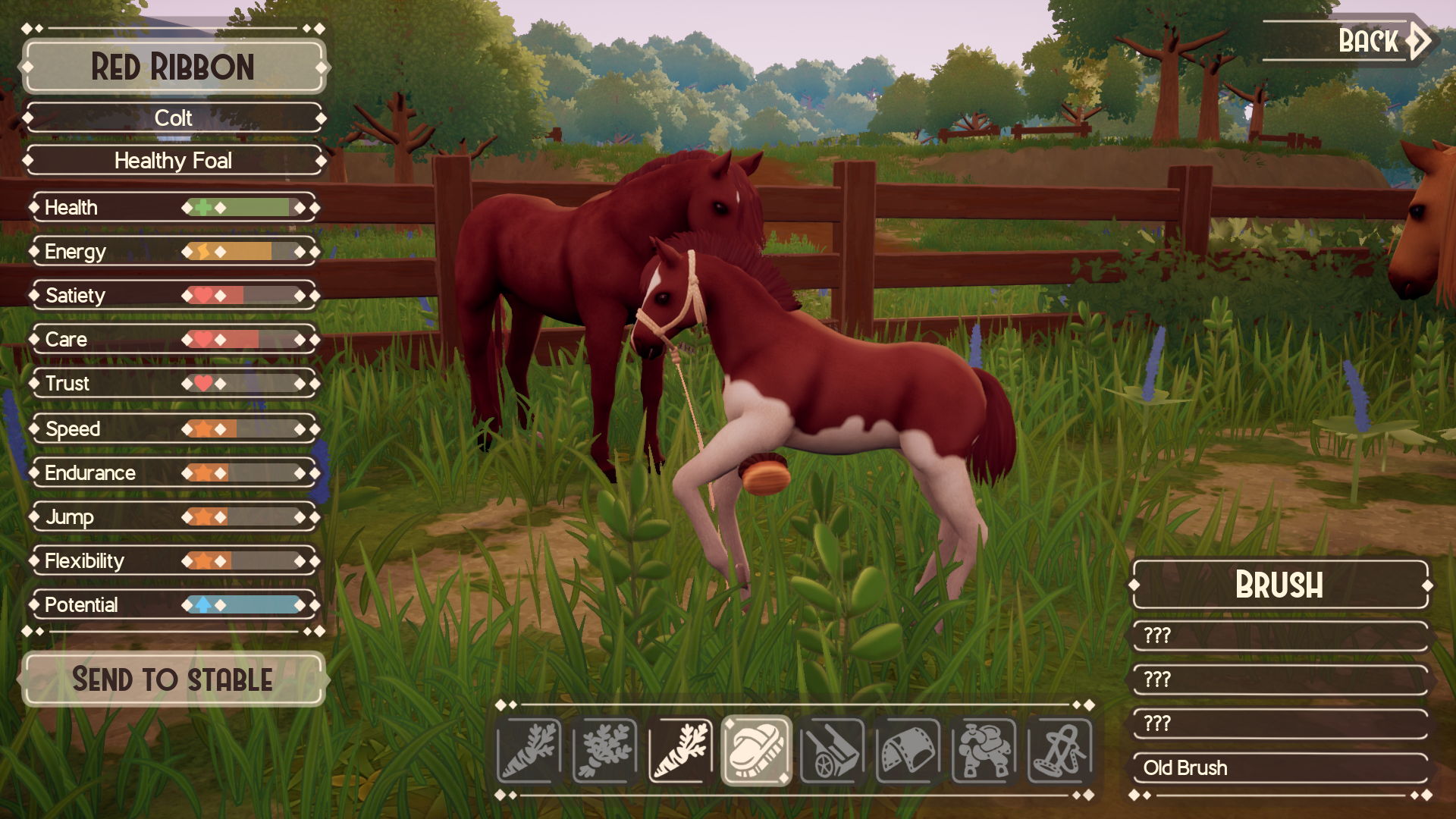 The Ranch of Rivershine - Grooming a foal